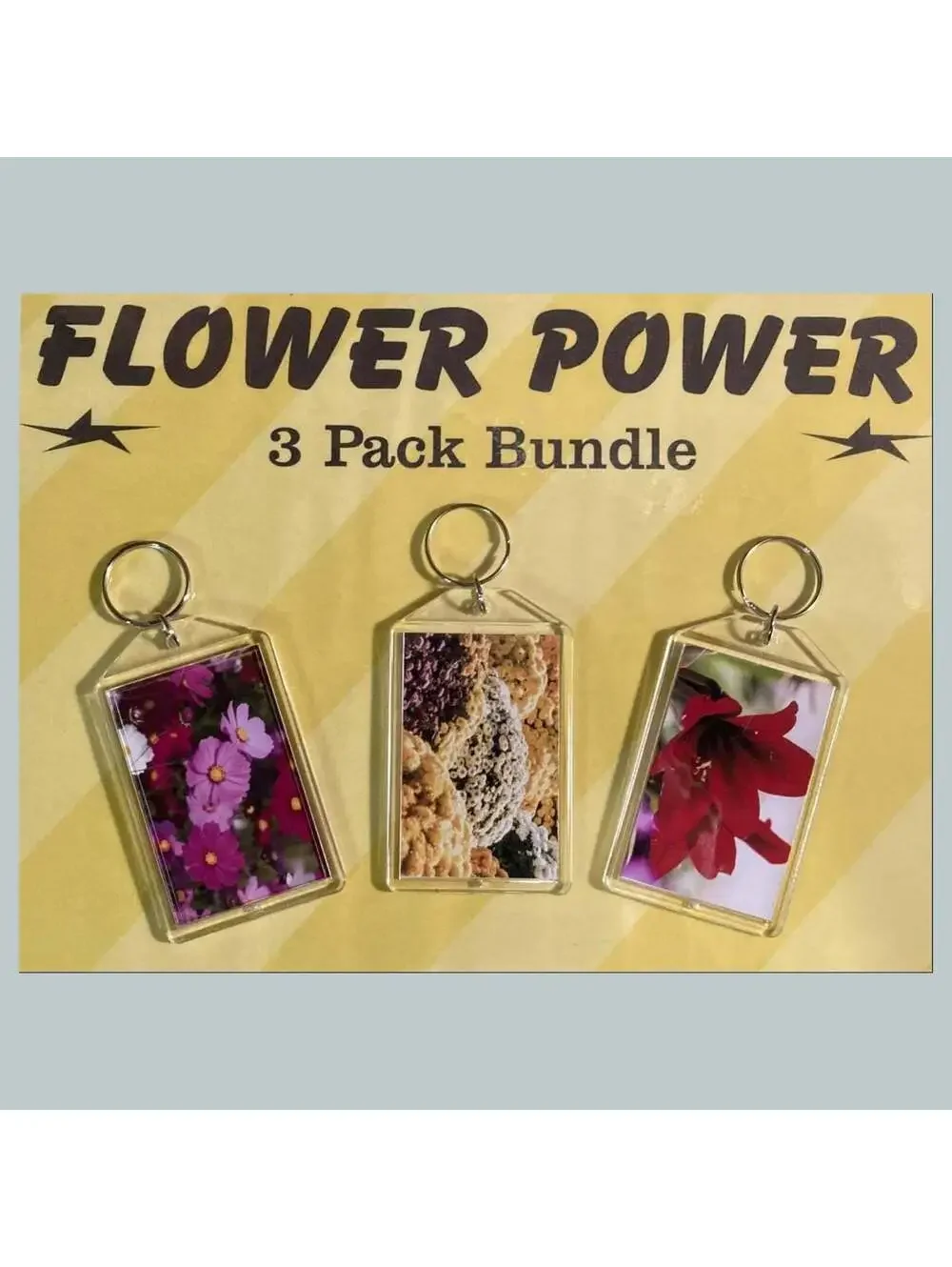 3687B Threefer Bundle Cosmos/Chrysanthemums/Amaryllis Acrylic Keychain